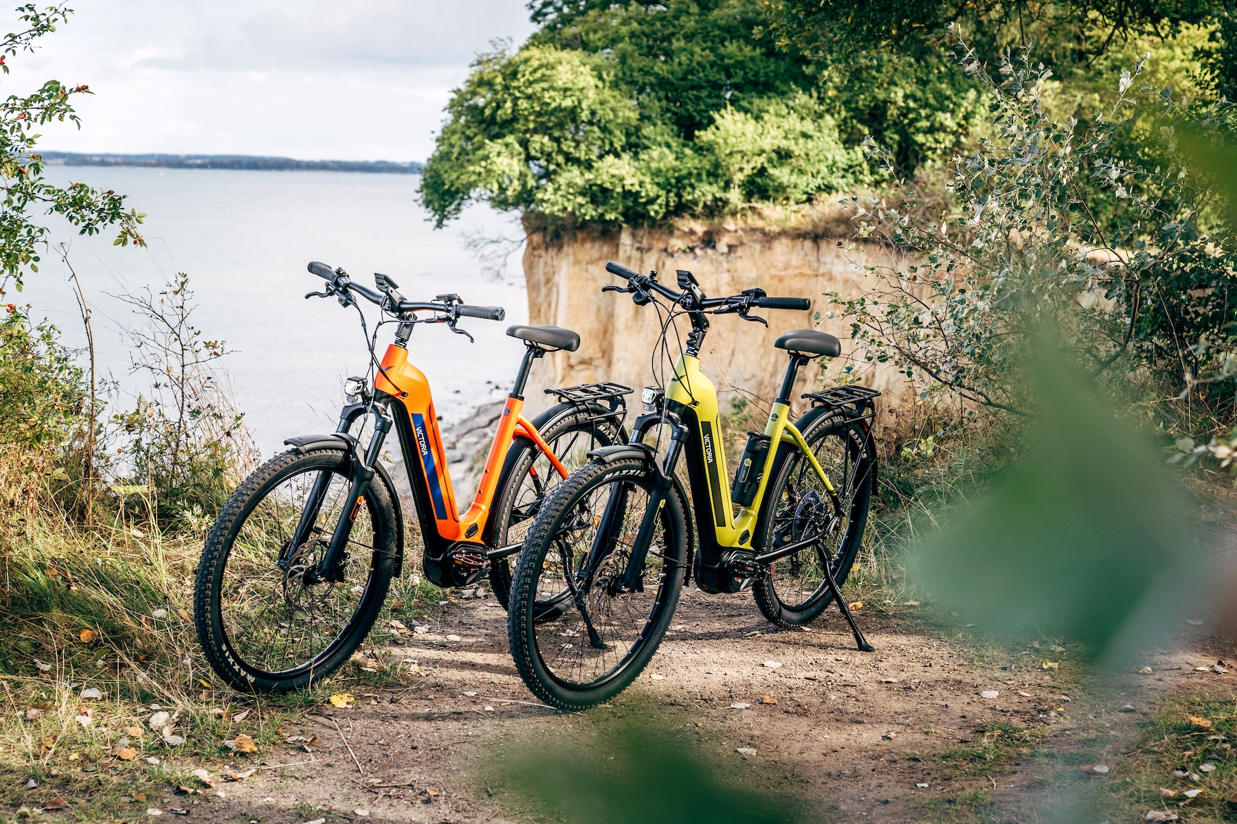 VICTORIA eBikes